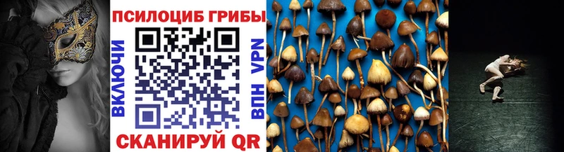 цены   кракен ССЫЛКА  Галлюциногенные грибы Cubensis  Ревда 